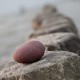 Meer