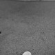 Meer
