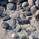 Meer